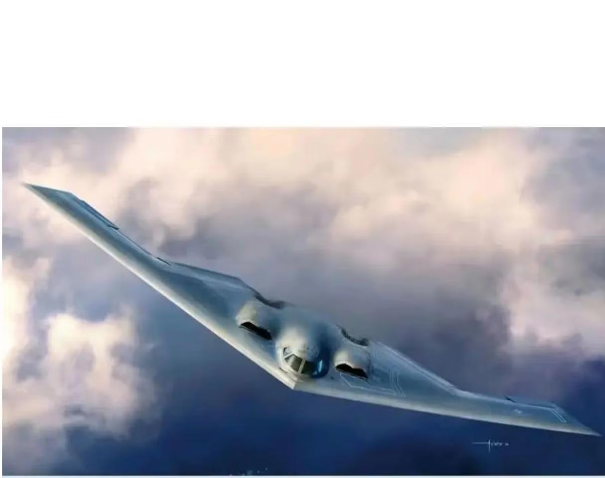 Amazon.com: USAF B-2A Stealth Bomber Assembly Model Kit Academy